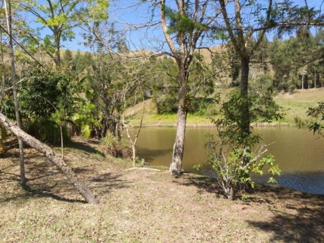 #FA0001 - Fazenda para Venda em São Luíz do Paraitinga - SP - 3