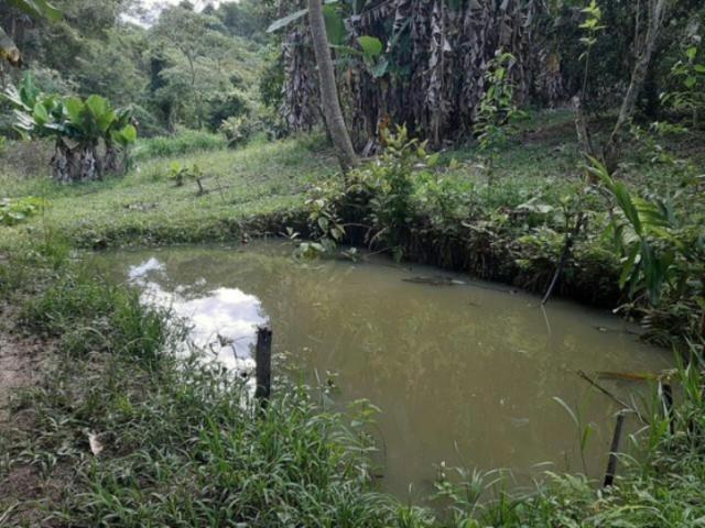 #SI0001 - Sítio para Venda em Paraibuna - SP - 3